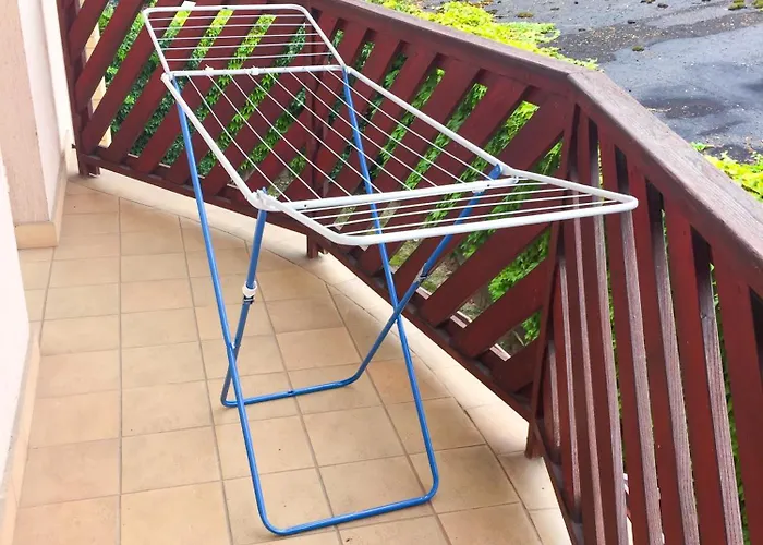 Hunor Hortenzia * Balatonlelle